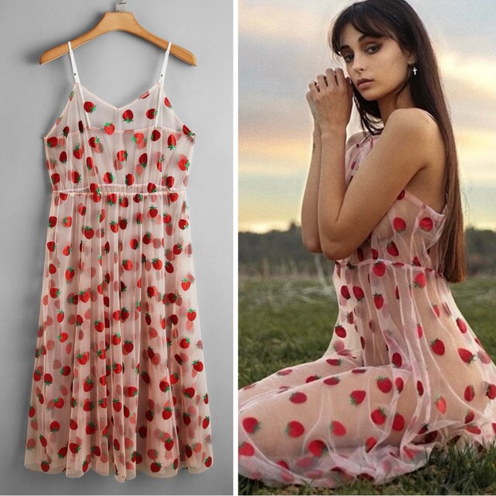 2X The Strawberry Dress Overlay Sparkly Mesh Dress NWOT Sold Out Rare
